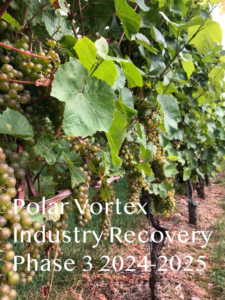 Polar Vortex Industry Recovery Program